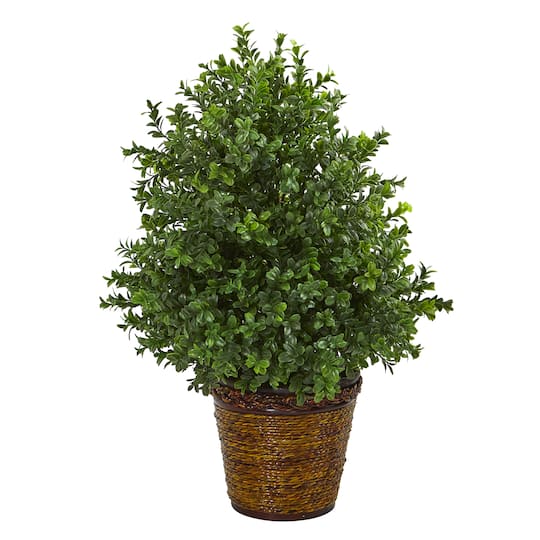 23" Sweet Grass in Basket